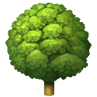 deciduous-tree